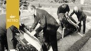 Kranzniederlegung am Heimkehrerfriedhof in Friedland 1965  