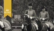 Reiter in Uniformen bei der Celler Hengstparade 1965  