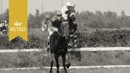 Rennen auf der Horner Rennbahn 1961, Pferde und Reiter überspringen ein Hindernis  