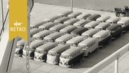 35 VW-Busse stehen fein säuberlich aufgereiht auf einem Hafenumschlagplatz in Bremen (1965)  