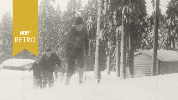 Skilangläufer im Harz beim Training, 1965  