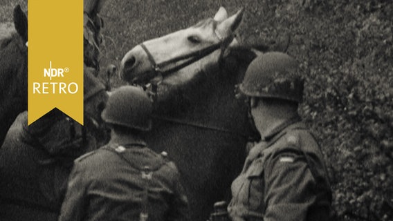 Drei Bundeswehrsoldaten mit Pferden 1960  