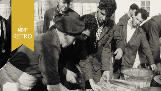 Arbeiter im Fischereihafen von Leer beim Vernageln von Heringsfässern (1961)  