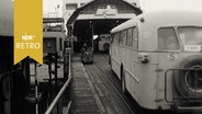 Busse fahren in Großenbrode auf eine Fähre nach Dänemark (1961)  