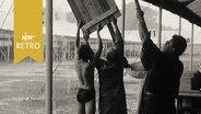 Ein Helfer in Badehose und zwei Helfer in Mänteln versuchen, vom Regen durchhängendes Zeltdach vom Wasser zu befreien (Hamburger Stadtpark, Juli 1961)  