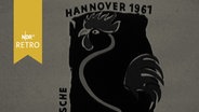 Plakat zur Deutschen Junggeflügelschau in Hannover1961  