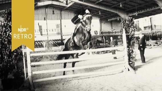 Pferd beim Sprung bei einem Hallenturnier in Hannover 1962  