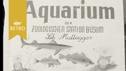 Ausstellungsplakat für das Aquarium Büsum (1962)  