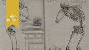 Historisch-satirische Zeichnung zweier Skelette in Alltagssituationen (1962)  