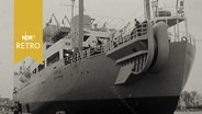 Kabellegerschiff MS Neptun am Kai in Travemünde 1962  