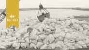 Bagger beim Aufschichten von Sandsäcken an bei der Sturmflut 1962 zerstörtem Deich der Süderelbe  