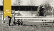 Springreiter bei Trainingssprung auf einem Parcours in Heide 1962  