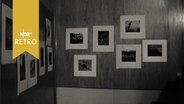 Bilder des Fotografen Edward Weston in einer Ausstellung in Hamburg 1962  