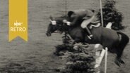 Springreiter beim Sprung über ein Hindernis im Wettkampf (1962)  