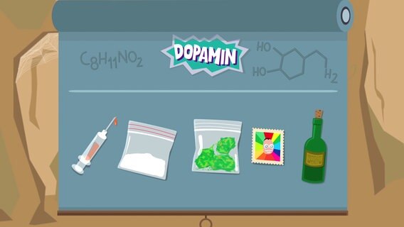 Animation zeigt verschiedene Drogen, die für einen Dopaminstoß im Körper sorgen. Eine Spritze für Heroin, ein Tütchen mit weißem Inhalt für Kokain, ein Tütchen mit grünem Inhalt für Cannabis, eine bunte Briefmarke für LSD und eine Flasche für Alkohol. © NDR/Pier 53 