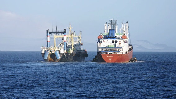 In der Antarktis: Zwei Arbeitsschiffe (Fischfang) liegen nebeneinander im Meer. In der Ferne ist ein Küstenstreifen zu sehen. © NDR/HTTV 