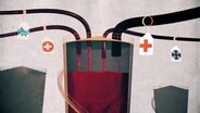Zeichnung illustriert die verschiedenen Zulieferer von Spenderblut mithilfe eines großen Tanks in der Mitte, zu dem mehrere Schläuche führen, an denen Schilder befestigt sind. Sie weisen auf das DRK, die Bundeswehr und Krankenhäuser hin. © NDR 