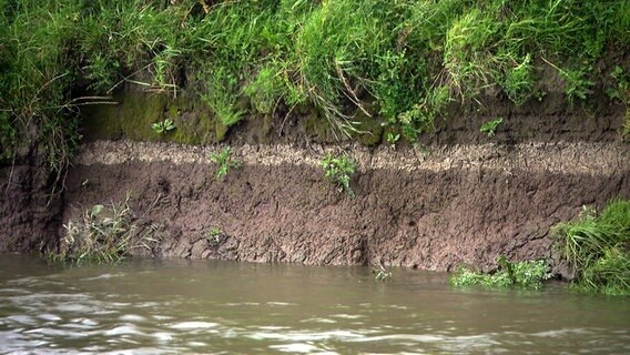 Uferböschung eines Wassergrabens im Deichvorland der Haseldorfer Marsch zeigt verschiedene Erdschichten. © NDR 