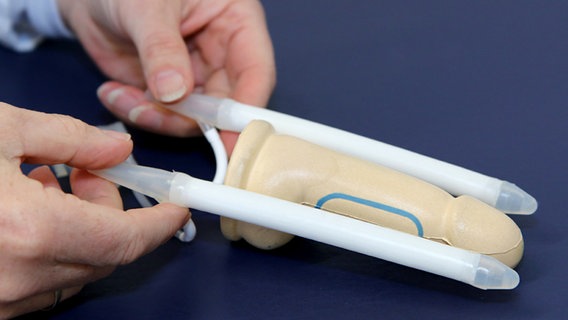 Die beiden Schlauchstücke eines Schwellkörper-Implantats werden neben einen Penis-Dummy gehalten. © NDR 