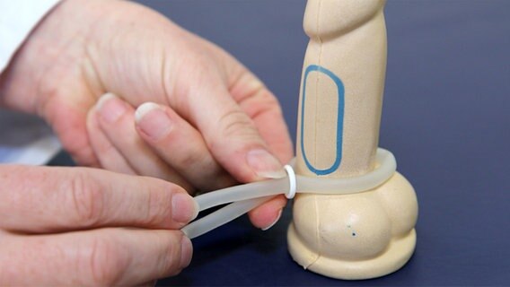 Eine Penisschlaufe wird an einen Penis-Dummy angelegt. © NDR 