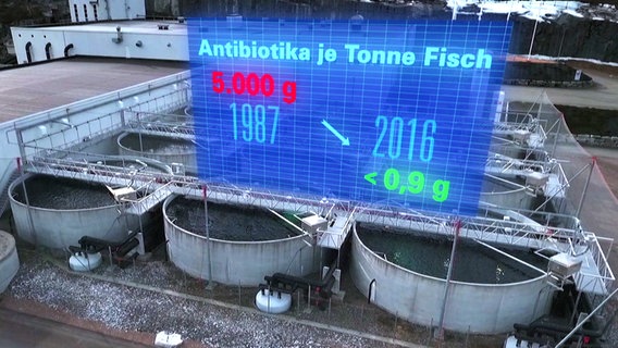 Grafik-Tafel im Realbild zeigt den Rückgang der Antibiotika-Mengen in der Lachs-Zucht. Von 5.000 g je Tonne Fisch 1987 auf unter 0,9 g 2016. © NDR / Flemming Postproduktion 