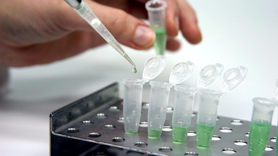 Jemand füllt mit einer Pipette Reagenzgläser © Sven Hoppe - Fotolia.com 