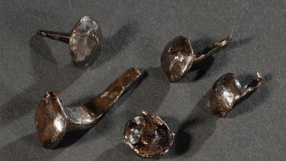 Fundstücke aus Harzhorn Kalefeld: Sandalennägel (restauriert) © Niedersächsisches Landesamt für Denkmalpflege Foto: Christa Fuchs