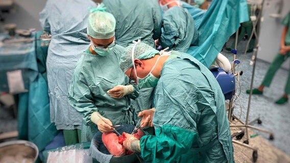 Während andere Chirurgen weitere Organe entnehmen, untersucht der Hannoveraner Chirurg die Lunge für seine Patientin. © NDR/Juschka Weiß 