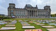 Statt mit zehntausenden Aktivistinnen und Aktivisten vor dem Bundestag zu demonstrieren, legen Mitglieder von Fridays for Future wegen der Corona-Maßnahmen stattdessen am 24. April 2020 tausende Plakate auf der Wiese vor dem Reichstagsgebäude ab. © NDR/Lucas Stratmann 