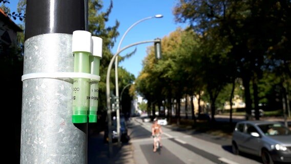 Messröhrchen für die Messung von Stickoxid in der Luft © NDR 