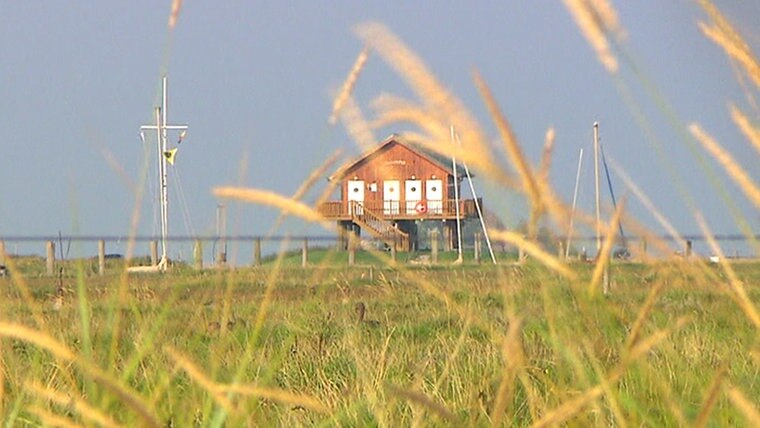 Das auf Stelzen gebaute Hafenhaus des Seglerhafens auf der Hallig Hooge im Sommer.  © NDR
