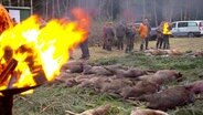 Szene nach der Jagd: Links im Bild ein Feuer, Bildmitte auf einem Teppich aus Tannenzweigen liegen eine Reihe von Wildschweinen und einige Rehe. Im Hintergrund stehen einige Jäger. © NDR 