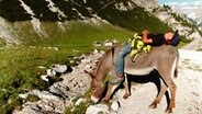 Eine junge Frau liegt auf einem Esel in den Bergen. © NDR 
