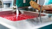 Die Gerichtsmediziner gehen auf Spurensuche. Sie durchforsten den Körper nach Hinweisen auf die Todesursache und versuchen einen möglichen Tathergang nachzuvollziehen. © NDR 