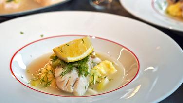 Poached haddock fillets served on a plate with mashed potatoes.  