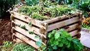 Ein gefüllter Komposthaufen © picture-alliance / OKAPIA KG, Ge Foto: Udo Kröner/OKAPIA