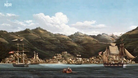Eine Gemälde zeigt von der Seeseite aus eine der Jungferninseln in Dänisch-Westindien. © NDR 