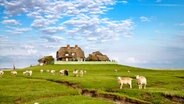 Die Warft auf Hallig Suedfall, Nordfriesland, © picture-alliance / HB-Verlag Foto: Sabine Lubenow