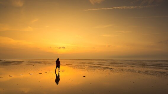 Ein Mann steht vor dem Sonnenuntergang im Watt. © Benjamin Jaworskyj Foto: Benjamin Jaworskyj