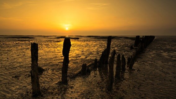Ein Sonnenuntergang im Wattenmeer. © Benjamin Jaworskyj Foto: Benjamin Jaworskyj