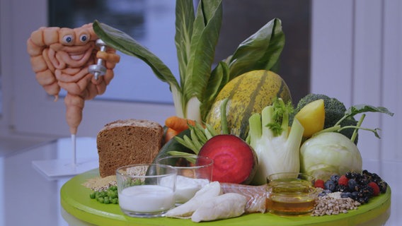 Ein Darm-Modell mit fröhlichem Gesicht und Hantel in der Hand steht neben einem Teller mit darmgesundem Essen: Gemüse, Beeren, Leinöl, Milchprodukte. © NDR Foto: Oliver Zydek/Moritz Schwarz