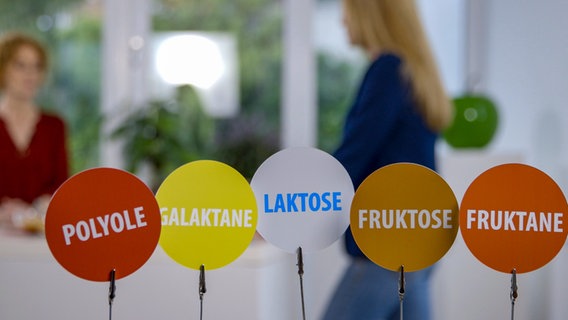 Dr. Viola Andresen spricht im Hintergrund mit ihrer Patientin, davor Schilder mit Aufschriften wie Fruktose, Fruktane, Polyole. © NDR Foto: Moritz Schwarz/Oliver Zydek