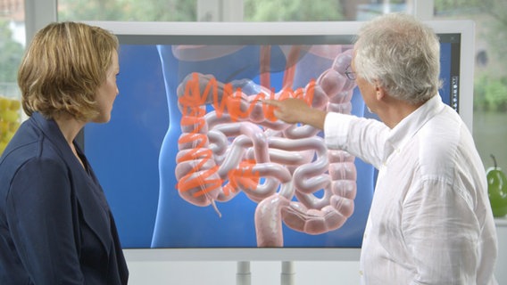 Dr. Klasen und Patienten schauen auf einen Bildschirm mit Darm-Grafik. © NDR 