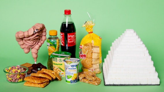 Ein unglücklich guckendes Darmmodell steht neben Waffel, Cola, Fertigsuppe, Eistee, Keksen, Frühstückskringeln und einer Pyramide von Zuckerwürfeln © NDR Foto: Claudia Timmann