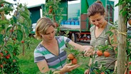 Die beiden Juniorchefinnen auf der Apfelplantage hinter der Landmaschinen-Werkstatt. © NDR/Joker Pictures GmbH/Antje Bremer 