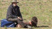 Uta Kielau aus Büchen im schleswig-holsteinischen Kreis Herzogtum Lauenburg ist Biologin, ehrenamtliche Wolfsbetreuerin und erfolgreiche Hundetrainerin. © NDR/Jung & Rathjen Filmproduktion 