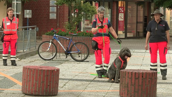 Beim Mantrailing werden Hunde zur Suche vermisster Personen eingesetzt. Uta Kielau beim Training mit der Johanniter Rettungshundestaffel Salzhausen in Lauenburg. © NDR/Jung & Rathjen Filmproduktion 