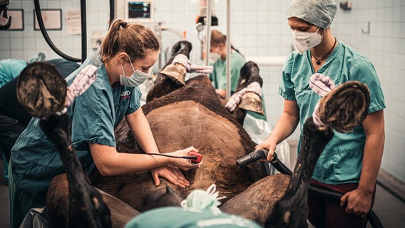24 Stunden Notdienst - deshalb müssen alle Mitarbeiter*innen im Umkreis der Klinik wohnen. © NDR/Tierklinik Lüsche GmbH 