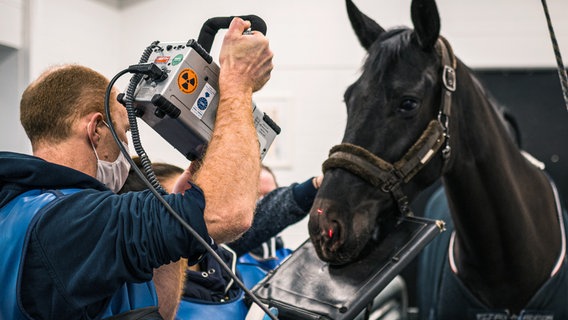 Die Klinik behandelt jährlich rund 10.000 Patienten. © NDR/Tierklinik Lüsche GmbH 