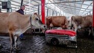 Roboter machen sauber im Stall von Dinand Kippers auf dem Agrarhof in Brüel. Die Bio-Milchviehanlage ist eine der modernsten Europas. Fast alles läuft automatisch. Über einen Chip im Halsband können die rund 400 Kühe rund um die Uhr überwacht werden. © NDR 
